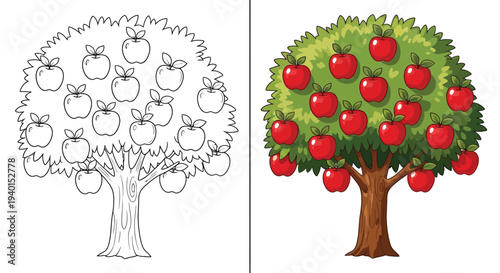 Cute apple tree coloring page for kids fresh fruit tree outline illustration before and after coloring