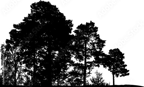 Natural tree silhouette. Isolated silhouette of natural trees. Vector illustration. EPS10.