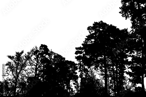 Natural tree silhouette. Isolated silhouette of natural trees. Vector illustration. EPS10.