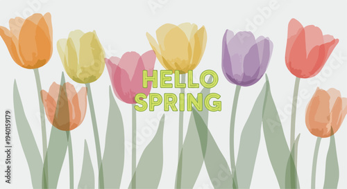 Vibrant watercolor style "Hello Spring" banner with a row of colorful tulip flowers in orange, yellow, pink, purple, and red, perfect for seasonal greetings and nature-themed designs.