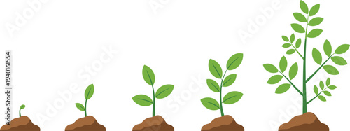 Five stages of plant growth illustration showing sprout, seedling, stem, leaves, mature plant, biology, environment, life cycle, education