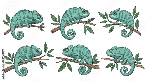 Collection of realistic chameleon illustrations resting on leafy branches with their long tails curled in different artistic positions.