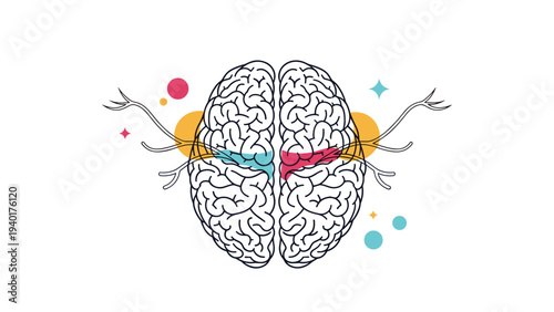 Human brain illustration shown with colorful abstract elements representing mental activity, creativity, and cognitive power.