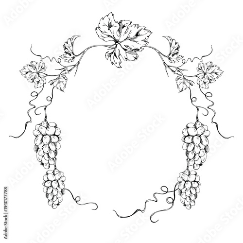Grapevine wreath frame with intricate leaves on curving branches with spiral creepers and grape bunches. Vector hand drawn ink illustration. Wine menu design, limited edition wine series artwork.