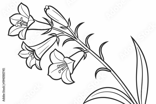 coloring page line art the penstemon flower black vector