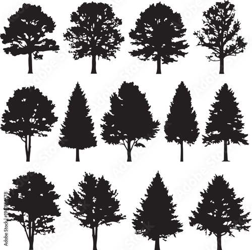 Collection of black tree silhouettes with varied foliage and shapes deciduous tree coniferous tree evergreen tree