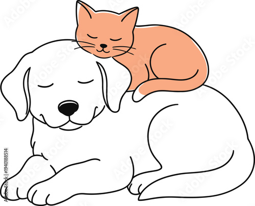 Cuddly cat and dog sleeping together