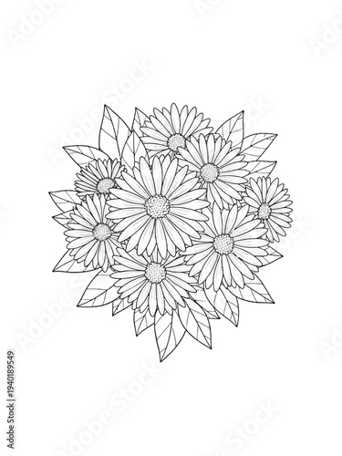 Black and white aster