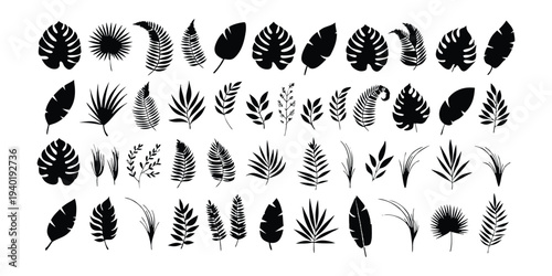 Assorted Tropical Leaves Silhouette Vector Graphics