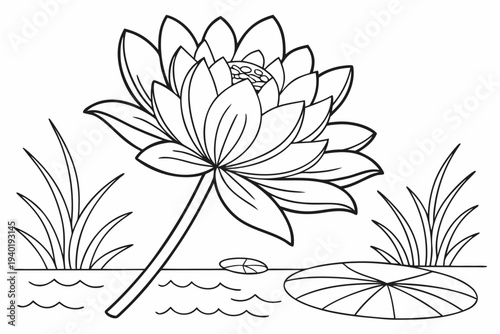 coloring page line art the tithonia flower black vector