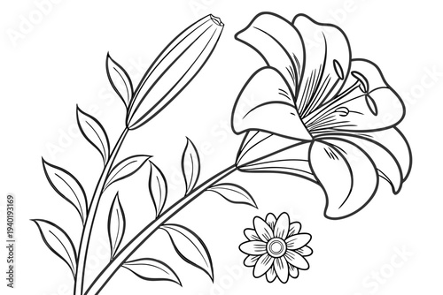 coloring page line art the tithonia flower black vector