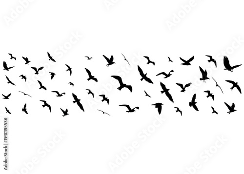 Flying birds wedge hand drawn black silhouettes isolated on transparent background. Flying birds concept. Vector PNG