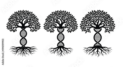 Black and white illustration of three trees with DNA double helix trunks and roots on a white background.