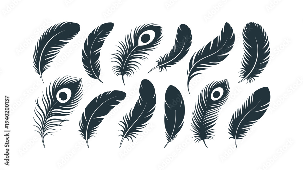 Obraz premium Collection of Black Feathers Isolated on White Background.