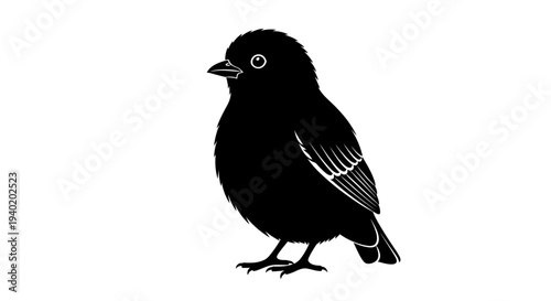 Black bird silhouette standing on white background looking left wings spread