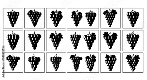 Black grape bunches in squares on white background for design and decoration