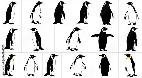 Collection of penguin silhouettes in various poses and perspectives on white background