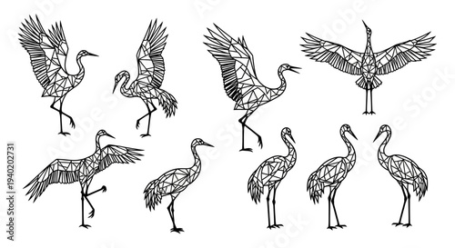 Detailed illustrations of cranes in various poses and movements on white background
