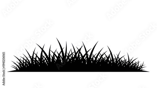 Silhouette of Lush Green Grass Blades Growing in a Field.