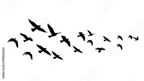Silhouettes of flying birds against a white background.