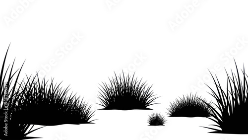 Silhouettes of various grass tufts and blades growing in natural environment.