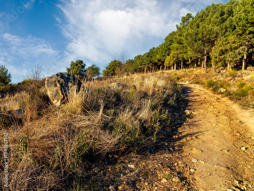 Camino de Los Pastores