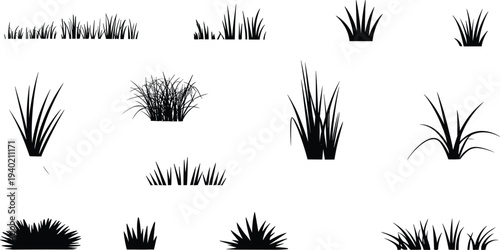 Grass silhouettes, clump variations, landscaping design, outdoor nature, decorative pattern, black and white illustration, plant diversity, garden art, foliage concept, ecosystem
