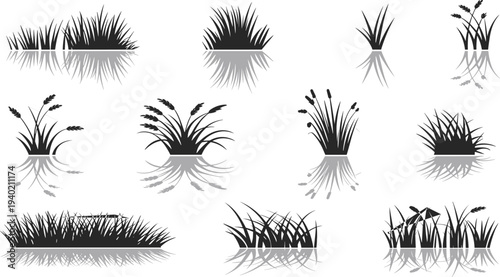 Wetland plant silhouettes, marsh vegetation, cattails, reeds, grasses, water reflection, ecosystem illustration, nature design, black and white art, environmental concept