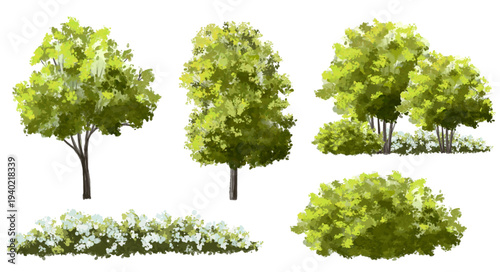 Vertor set of green tree,plants side view for landscape elevations,element for backdrop,eco environment concept design,watercolor greenery scene