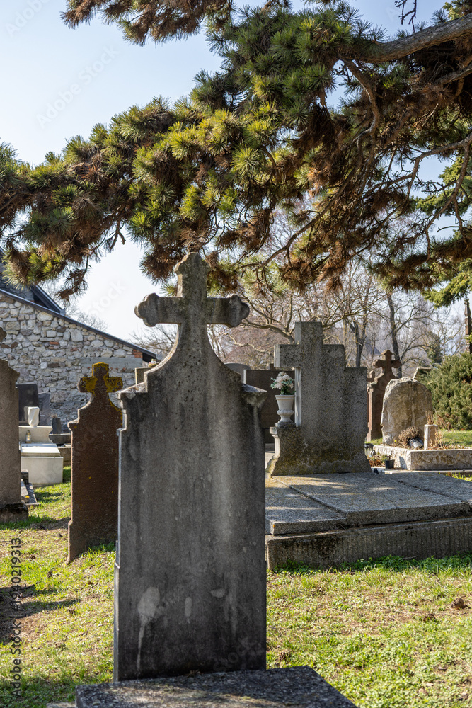 Fototapeta premium old grave in the cemetery