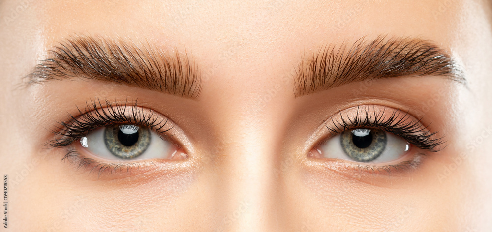 Obraz premium The make-up artist does Long-lasting styling of the eyebrows of the eyebrows and will color the eyebrows. Eyebrow lamination. Professional make-up and face care.