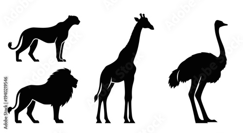 African Wildlife Silhouettes: Lion, Giraffe, Ostrich, and Cheetah Vector Collection
