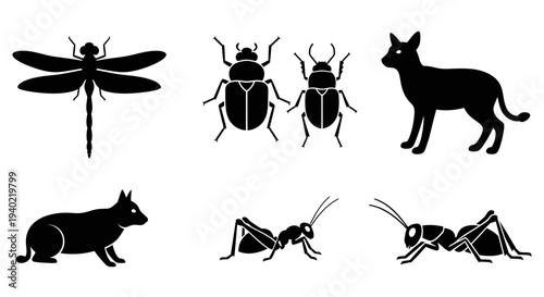 Animal and Insect Silhouettes Vector Icons Collection