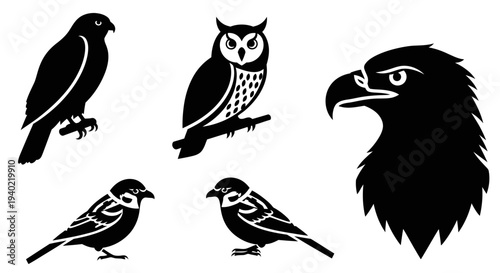 Bird Silhouettes Collection: Hawk, Owl, Eagle, Sparrows Vector Icons Set