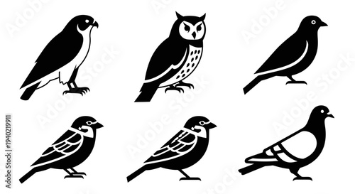 Bird Silhouettes Collection: Falcon, Owl, Sparrow, and Pigeon Icons