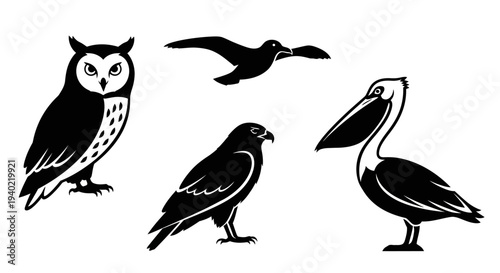 Bird silhouettes collection: owl, pelican, hawk, and flying bird icons on white background