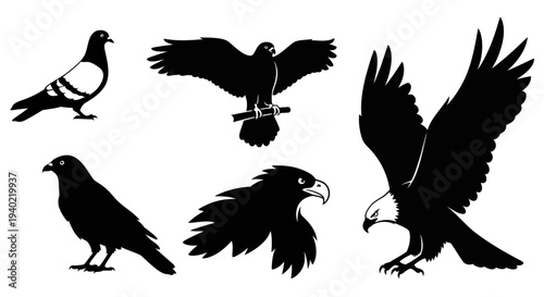 Bird Silhouettes Collection: Majestic Eagles, Pigeons, and Crows in Various Poses