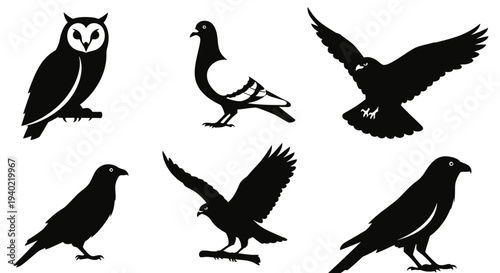 Bird Silhouettes Collection: Owl, Pigeon, Eagle, and Crow Icons