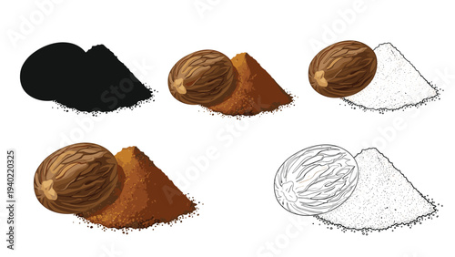 Nutmeg seed and ground spice shown in several artistic styles from detailed color to black silhouette and line art drawing.