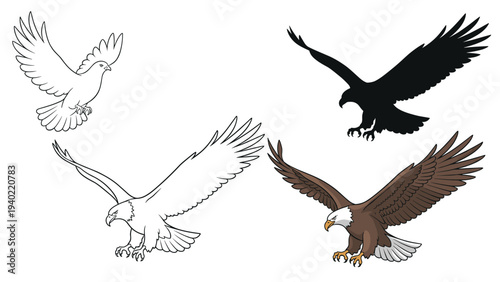Set of eagle illustrations featuring a silhouette, a line drawing, and colored versions of a bald eagle in landing pose.