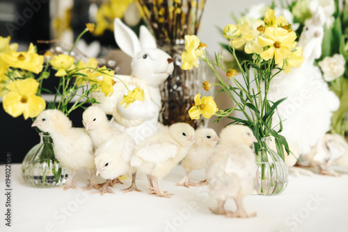 Many little yellow chicks stand against a background of yellow flowers in a vase. Easter decor.