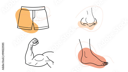Simple line art illustrations of human body parts and clothing including a nose muscular arm foot and a pair of boxer shorts.