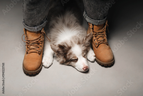 A small border collie puppy lies at a man's feet near his boots. He is tired and sleeping.