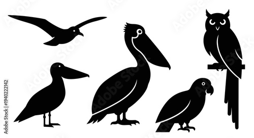 Black Silhouettes of Diverse Bird Species Vector Collection