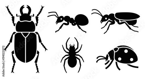 Black Silhouettes of Insects and Arachnids Collection: Beetle, Ants, Spider, and Ladybug