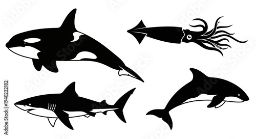 Black Silhouettes of Marine Animals: Orca, Shark, Dolphin, Squid Vector Set