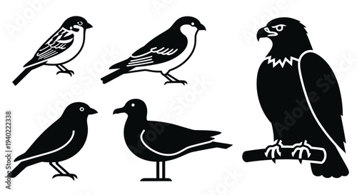 Collection of diverse bird silhouettes: sparrow, finch, seagull, and majestic eagle
