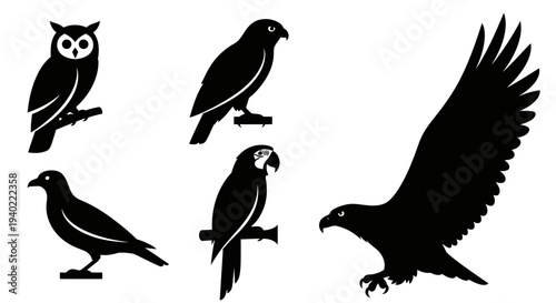 Collection of various bird silhouettes including owl, eagle, parrot, and crow