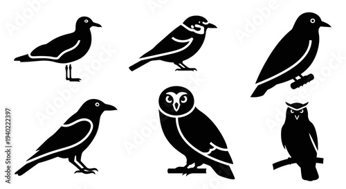 Collection of various bird silhouettes, black avian icons on white background