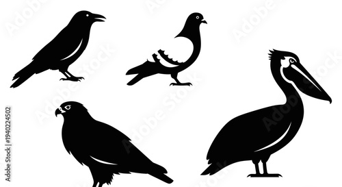 Diverse Bird Silhouettes Collection: Crow, Pigeon, Hawk, Pelican Vector Icons